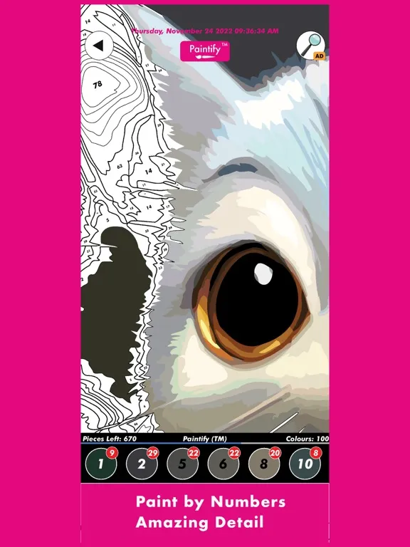 Paintify: Colouring Fun iPad  Ekran Görüntüleri